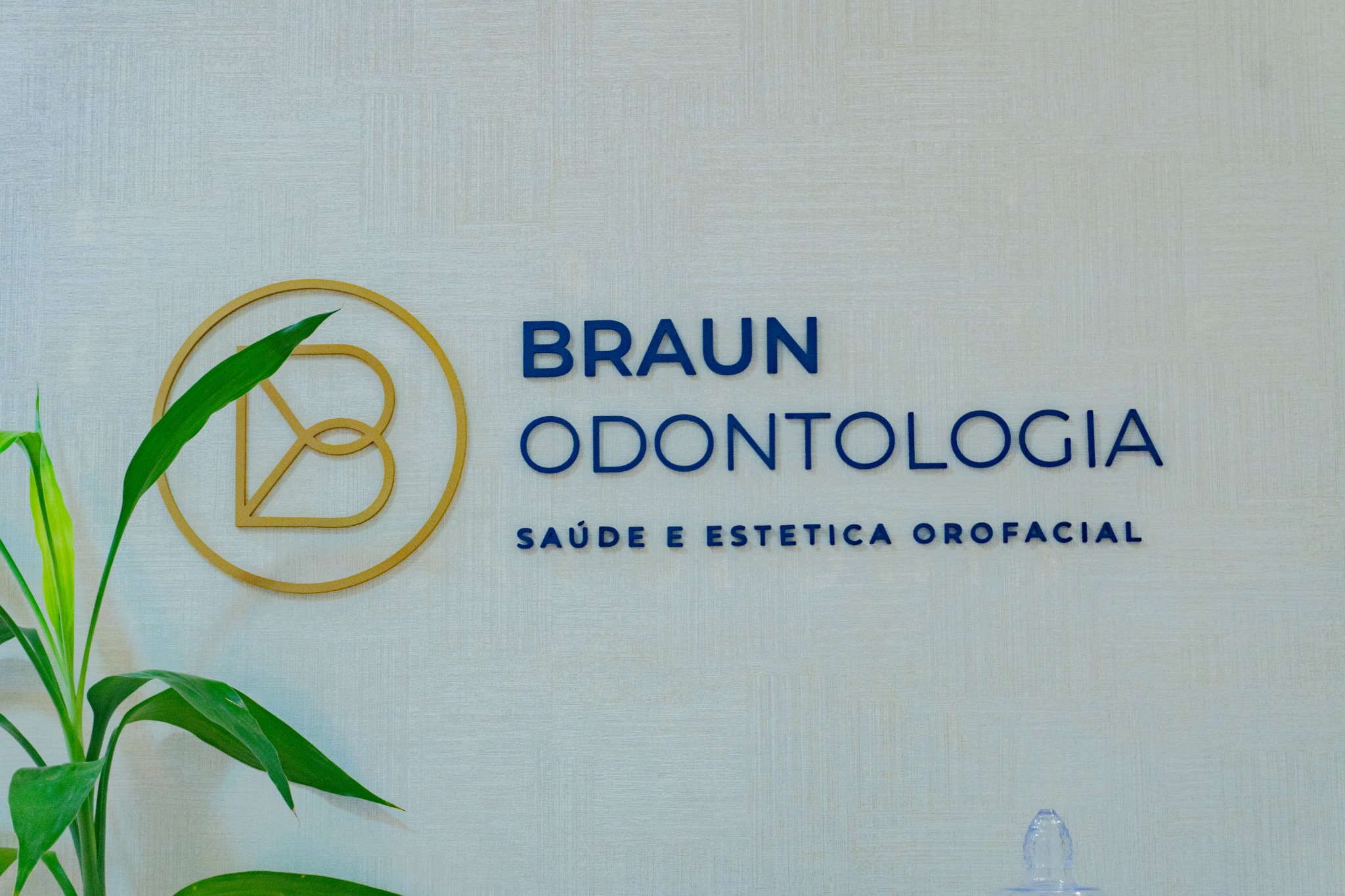 Recepção e identidade visual da clínica